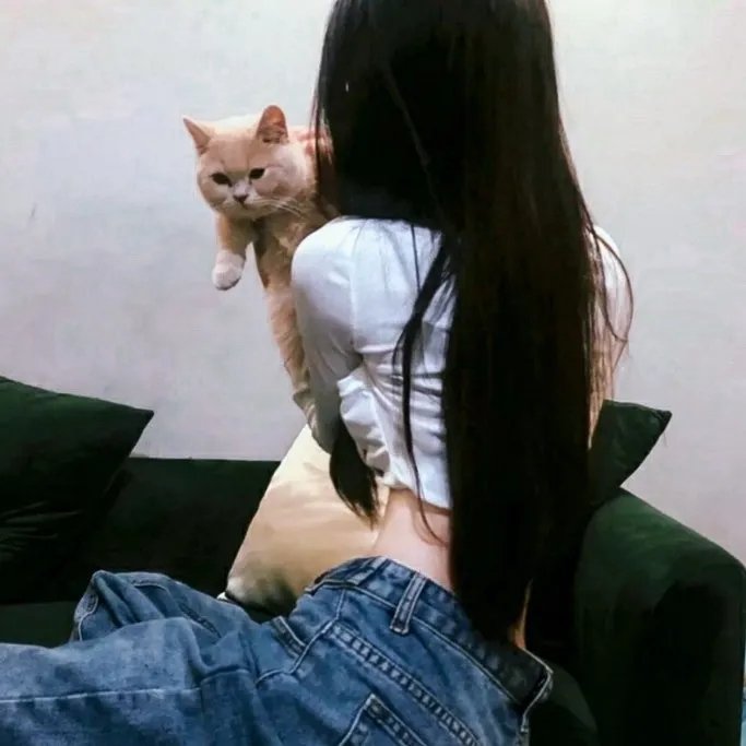通往美好小径海报