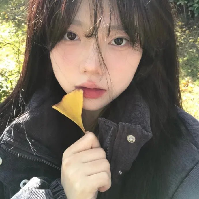 金婕的故事海报