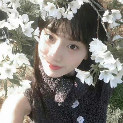 梦幻歌舞海报